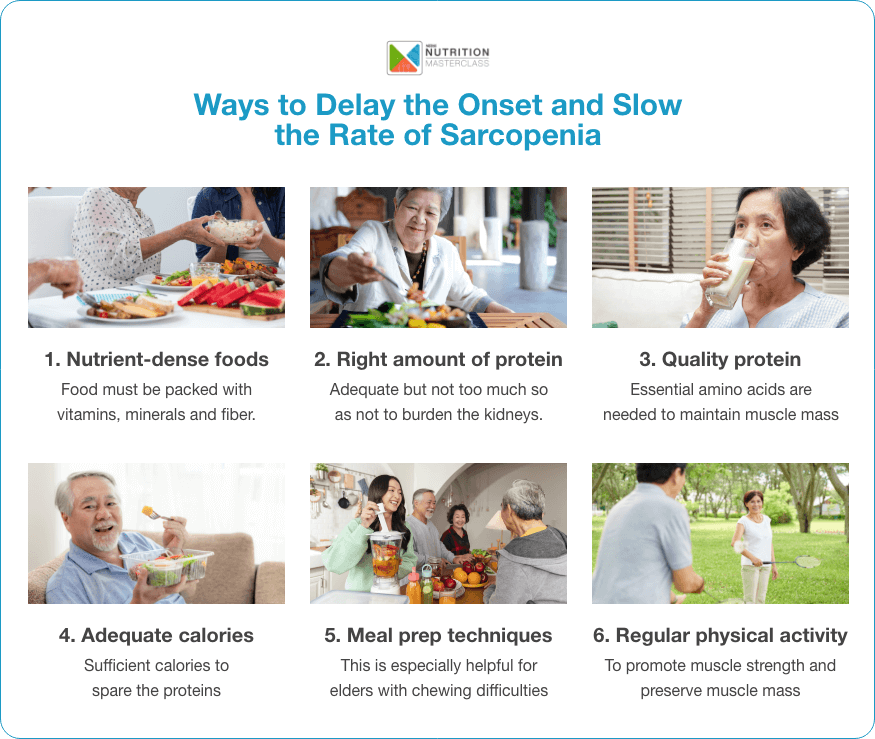 Ways to delay the onset and slow the rate of sarcopenia