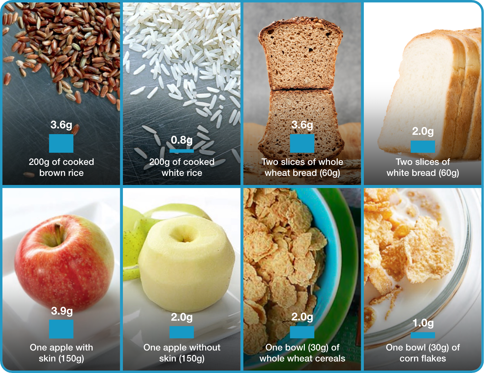 Figure 2. Fiber Content in Different Kinds of Food